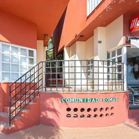 Higuerón Marítimo Romar D Fuengirola